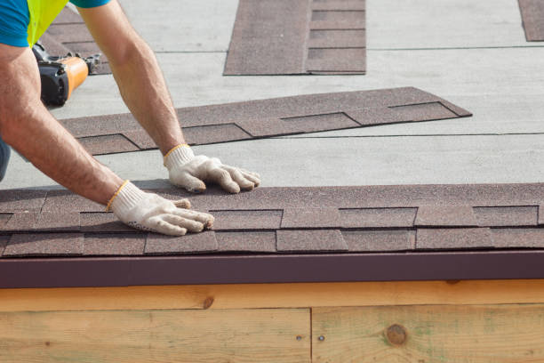Best Roof Maintenance and Cleaning  in Cambridge, NE